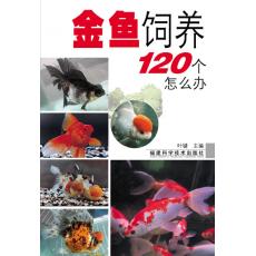 120ô