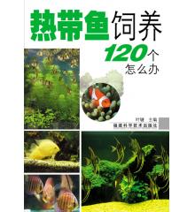 热带鱼饲养120个怎么办