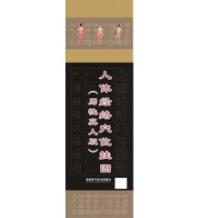 人体经络穴位挂图（男性真人版）