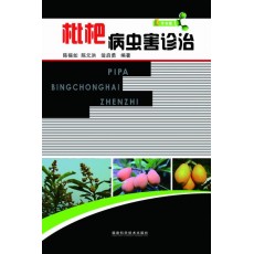 ˲溦