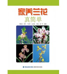 家养兰花真简单
