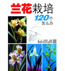 120ô