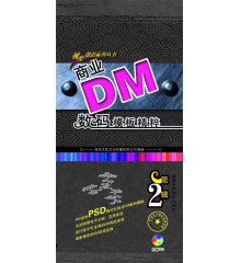 ҵDMģ徫2